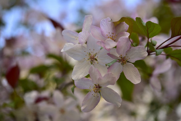 Similar image 21498062