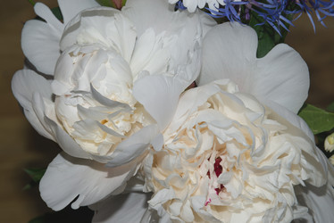 Similar image 21497668