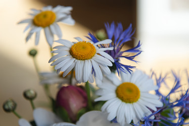 Similar image 21497669