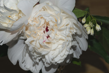 Similar image 21497671