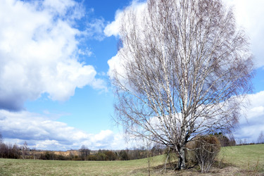 Similar image 21497762