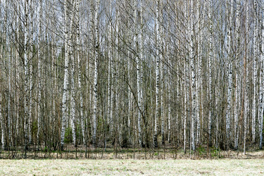 Similar image 21497763