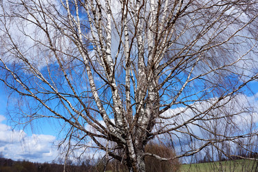 Similar image 21497765