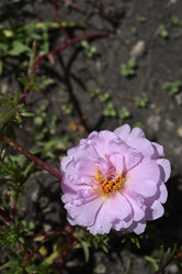 Similar image 21498082