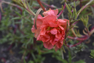 Similar image 21498084