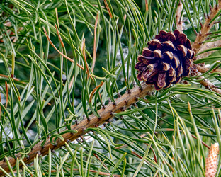 Similar image 21497778