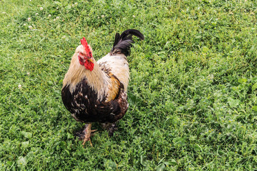 Similar image 21497780