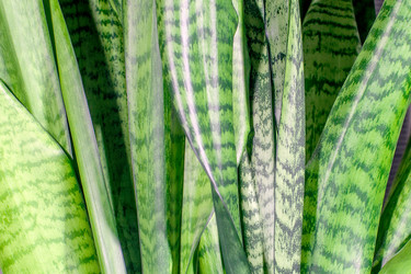 Similar image 21497782