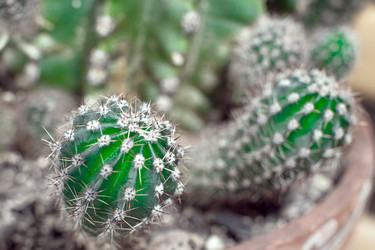 Similar image 21497784