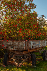 Similar image 21497672