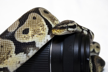 Similar image 21497787