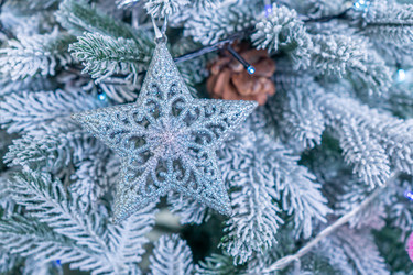 Similar image 21497688