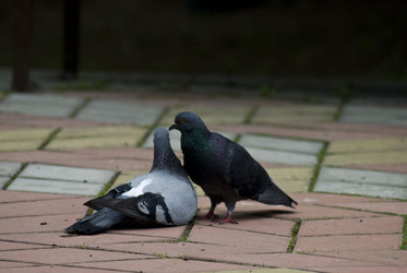 Similar image 21497794