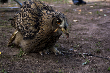 Similar image 21497796