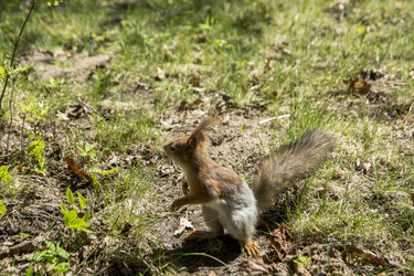 Similar image 21497803