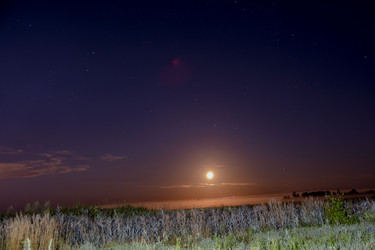 Similar image 21497804