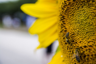 Similar image 21497805