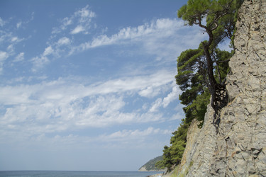 Similar image 21497808