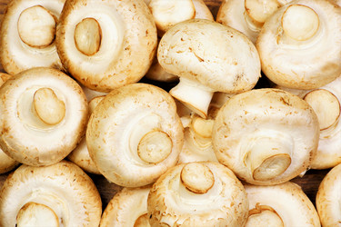 Similar image 21497814