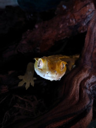 Similar image 21498369