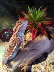 Similar image 21498370