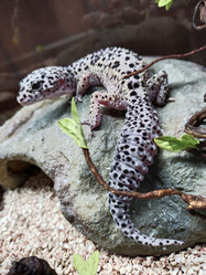 Similar image 21498371