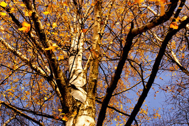 Similar image 21497822