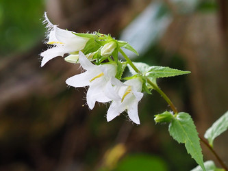 Similar image 21498373