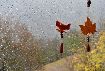 Similar image 21498374