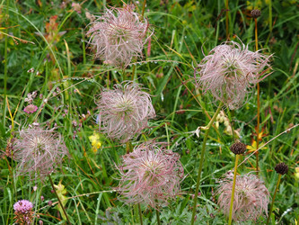 Similar image 21498375