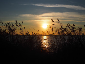 Similar image 21498378