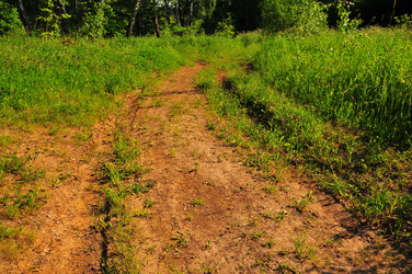 Similar image 21498379