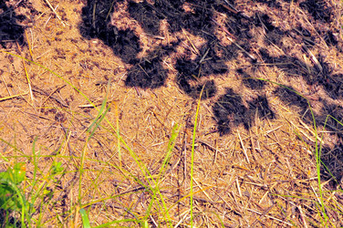 Similar image 21498380