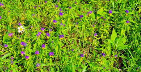 Similar image 21498381