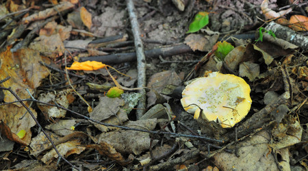 Similar image 21498382