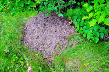 Similar image 21498383