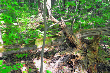 Similar image 21498384