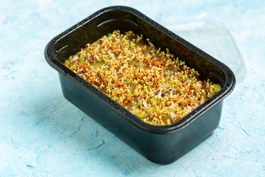 Similar image 21497508