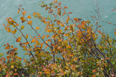 Similar image 21498704