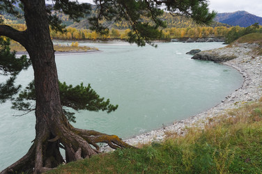 Similar image 21498705