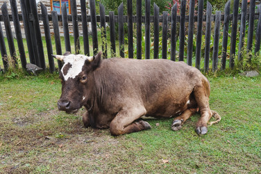 Similar image 21498706