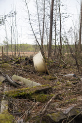 Similar image 21500129