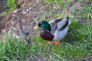 Similar image 21500343