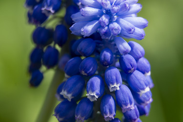 Similar image 21500130