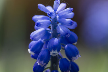 Similar image 21500131