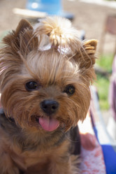 Similar image 21500133