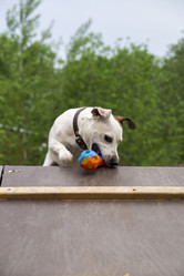 Similar image 21500134