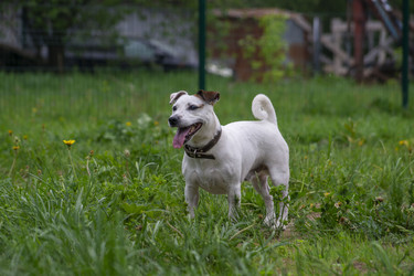 Similar image 21500135