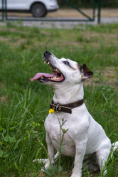 Similar image 21500136