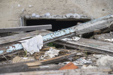 Similar image 21500138